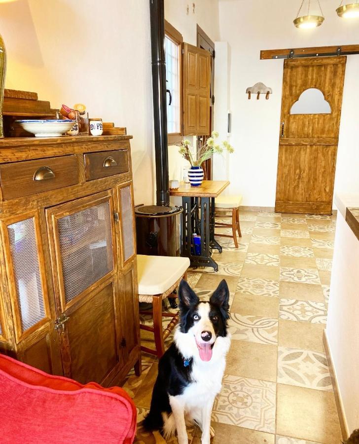 Ferienwohnung La Casilla Del San Anton Níjar Exterior foto